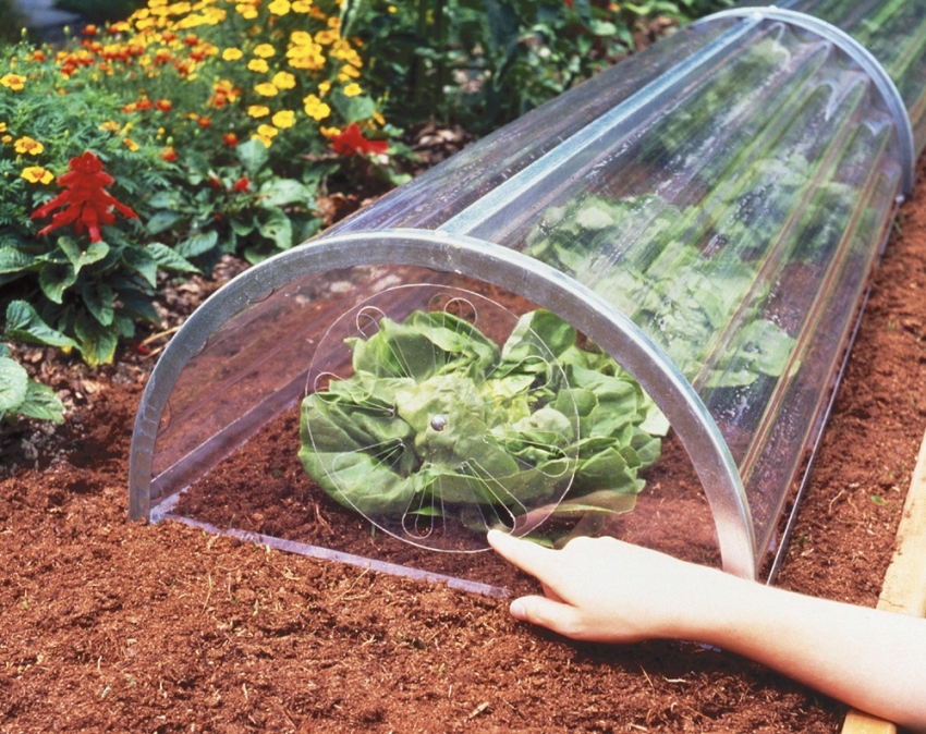 โพลีคาร์บอเนตน้ำหนักเบาสามารถโค้งงอได้ง่ายดังนั้นจึงสามารถใช้กับเรือนกระจกขนาดเล็กหรือแม้แต่ตัดรูด้วยมีดก่อสร้าง โพลีคาร์บอเนตน้ำหนักเบาสามารถโค้งงอได้ง่ายดังนั้นจึงสามารถใช้กับเรือนกระจกขนาดเล็กหรือแม้แต่ตัดรูด้วยมีดก่อสร้าง