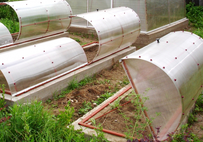 การออกแบบเรือนกระจกโพลีคาร์บอเนตแบบลึกช่วยให้คุณสามารถจัดเตียงอุ่น ๆ ไว้ด้านในได้ การออกแบบเรือนกระจกโพลีคาร์บอเนตแบบลึกช่วยให้คุณสามารถจัดเตียงอุ่น ๆ ไว้ด้านในได้