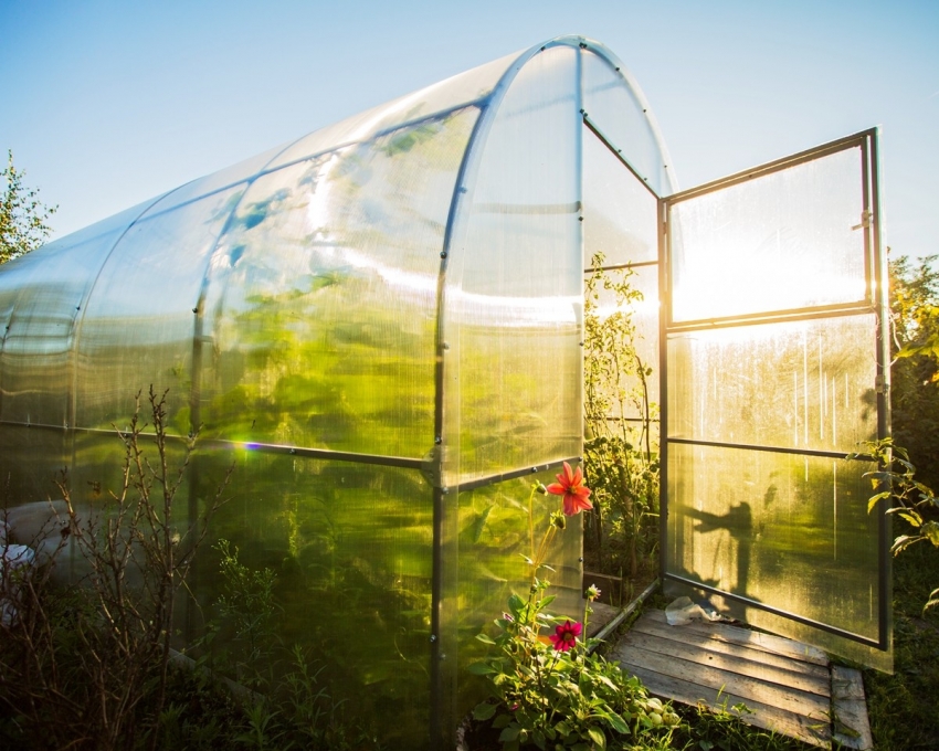 โพลีคาร์บอเนตส่งผ่านแสงแดดได้อย่างสมบูรณ์แบบเนื่องจากพืชผักพัฒนาและสุกเร็วขึ้น โพลีคาร์บอเนตส่งผ่านแสงแดดได้อย่างสมบูรณ์แบบเนื่องจากพืชผักพัฒนาและสุกเร็วขึ้น