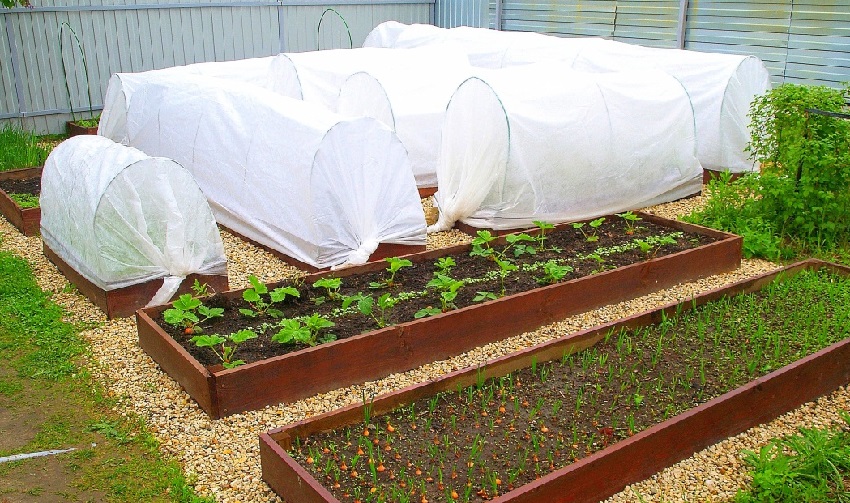 دفيئات ذات هياكل مقوسة دفيئات ذات هياكل مقوسة