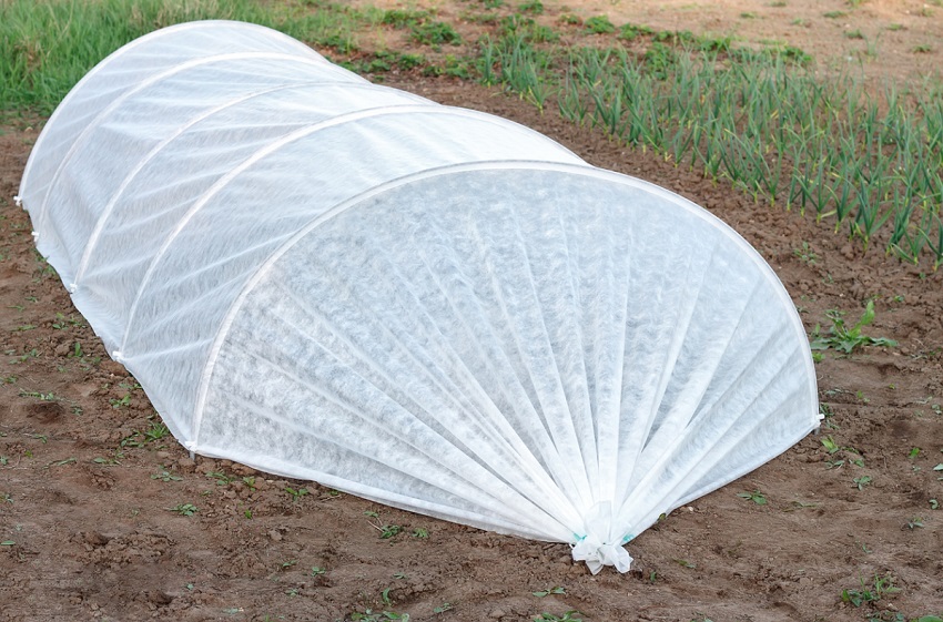 الدفيئة القوسية مع مادة تغطية مستقرة الدفيئة القوسية مع مادة تغطية مستقرة