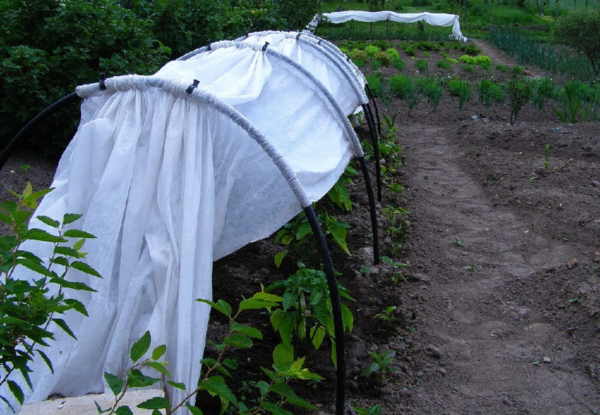 يجب أن تكون مادة تغطية الدفيئة ثابتة بإحكام يجب أن تكون مادة تغطية الدفيئة ثابتة بإحكام