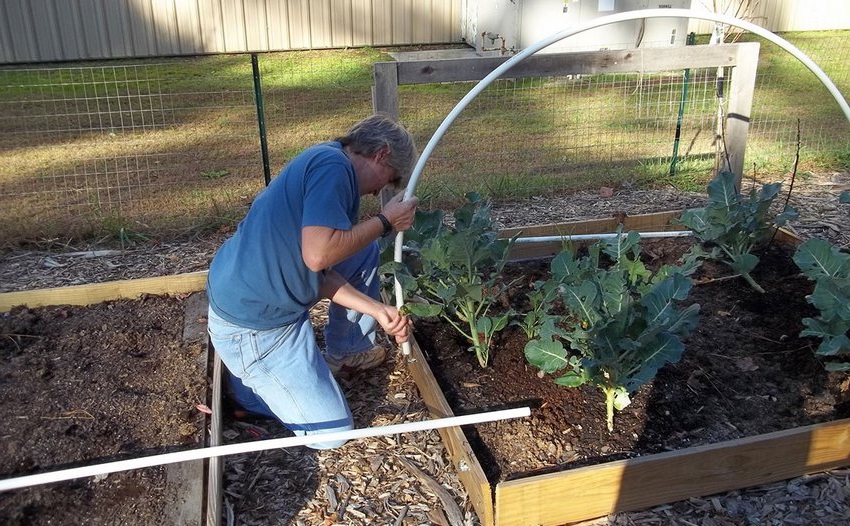 عند تثبيت دفيئة ، من المهم إصلاح الأقواس بإحكام عند تثبيت دفيئة ، من المهم إصلاح الأقواس بإحكام