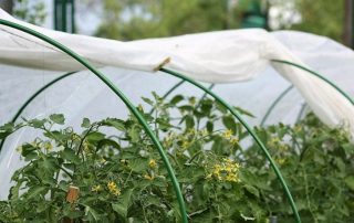 חממות קשת עם חומר כיסוי: סקירה של הדגמים הטובים ביותר