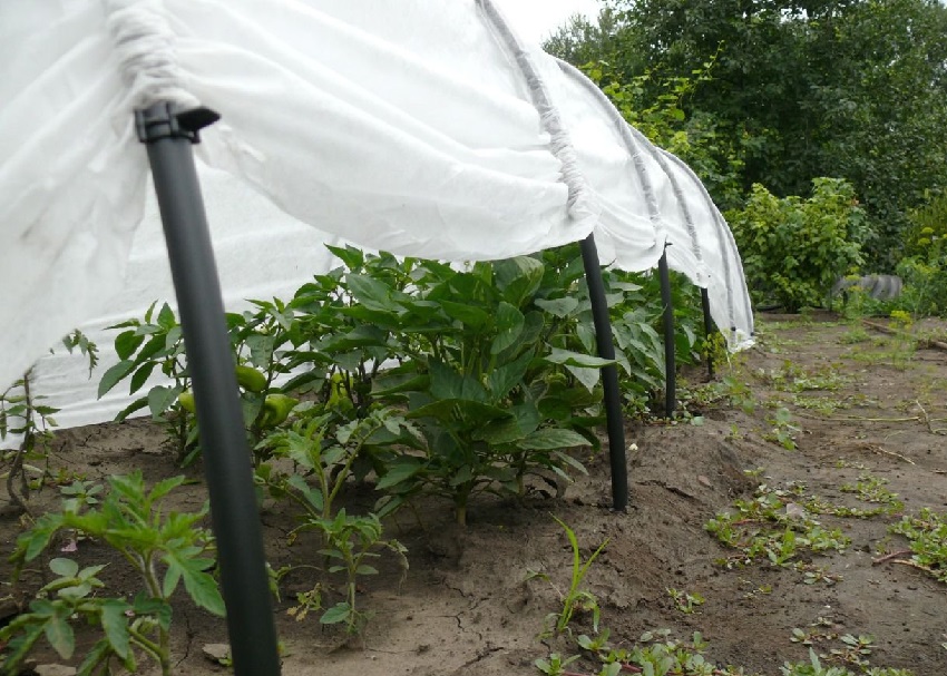 دفيئة بسيطة قابلة للطي مصنوعة من الأقواس مع مواد التغطية دفيئة بسيطة قابلة للطي مصنوعة من الأقواس مع مواد التغطية