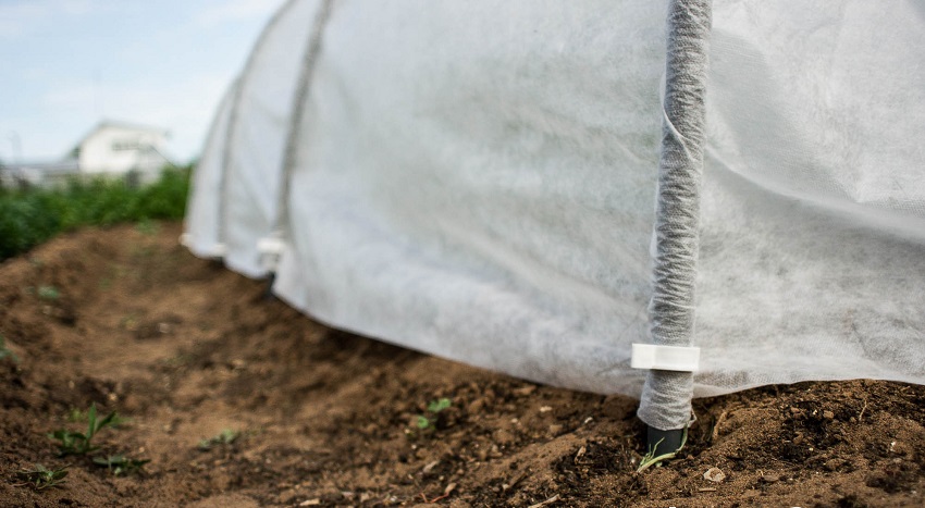 يجب أن تكون مادة تغطية الدفيئة ثابتة بإحكام يجب أن تكون مادة تغطية الدفيئة ثابتة بإحكام