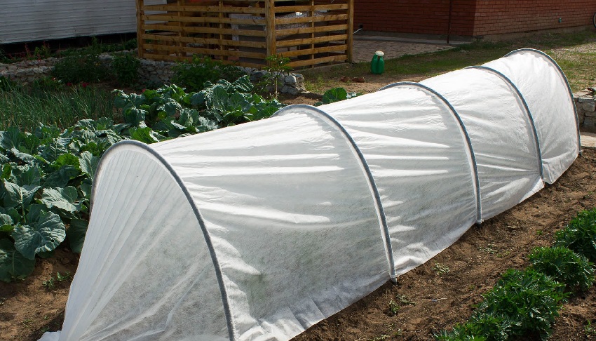 الدفيئة الحصاد الغني الدفيئة الحصاد الغني