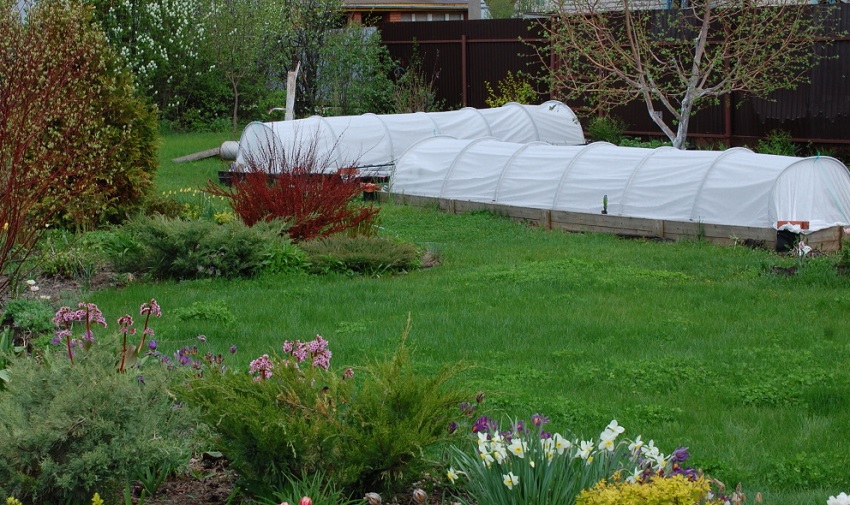 مهندس زراعي في الدفيئة مهندس زراعي في الدفيئة