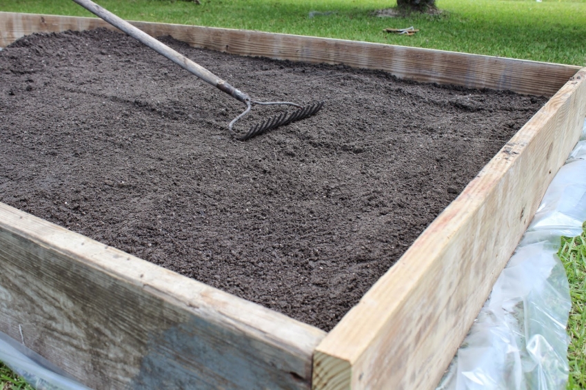 Όταν χτίζετε ένα θεμέλιο και ένα κουτί για ένα θερμοκήπιο, μπορείτε να εξοπλίσετε αμέσως ζεστά κρεβάτια για φυτά, παρέχοντας έτσι κορυφαία σάλτσα για λαχανικά Όταν χτίζετε ένα θεμέλιο και ένα κουτί για ένα θερμοκήπιο, μπορείτε να εξοπλίσετε αμέσως ζεστά κρεβάτια για φυτά, παρέχοντας έτσι κορυφαία σάλτσα για λαχανικά