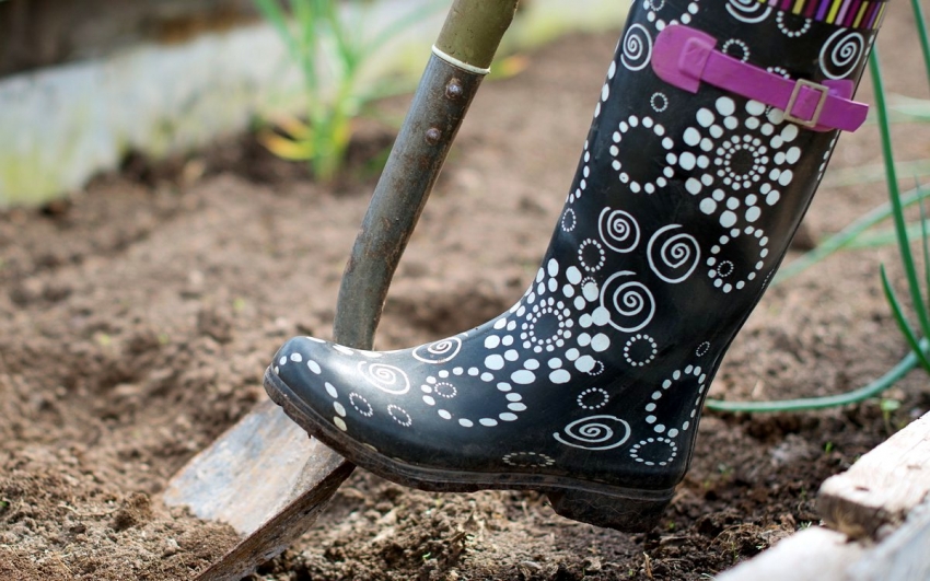 Το κύριο στάδιο της προετοιμασίας του θερμοκηπίου για τη χειμερινή περίοδο είναι η αντικατάσταση ή η γονιμοποίηση του εδάφους. Το κύριο στάδιο της προετοιμασίας του θερμοκηπίου για τη χειμερινή περίοδο είναι η αντικατάσταση ή η γονιμοποίηση του εδάφους.