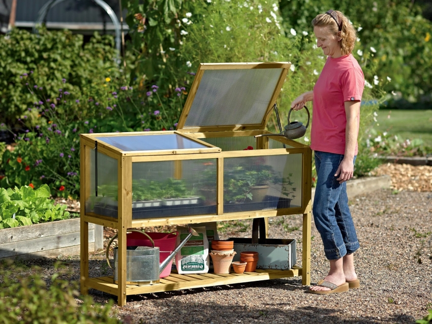 Ένα συμπαγές ανοιχτό θερμοκήπιο δενδρυλλίων με ράφι για προμήθειες κήπων και λιπάσματα μπορεί να κατασκευαστεί ανεξάρτητα χωρίς μεγάλες οικονομικές επενδύσεις Ένα συμπαγές ανοιχτό θερμοκήπιο δενδρυλλίων με ράφι για προμήθειες κήπων και λιπάσματα μπορεί να κατασκευαστεί ανεξάρτητα χωρίς μεγάλες οικονομικές επενδύσεις