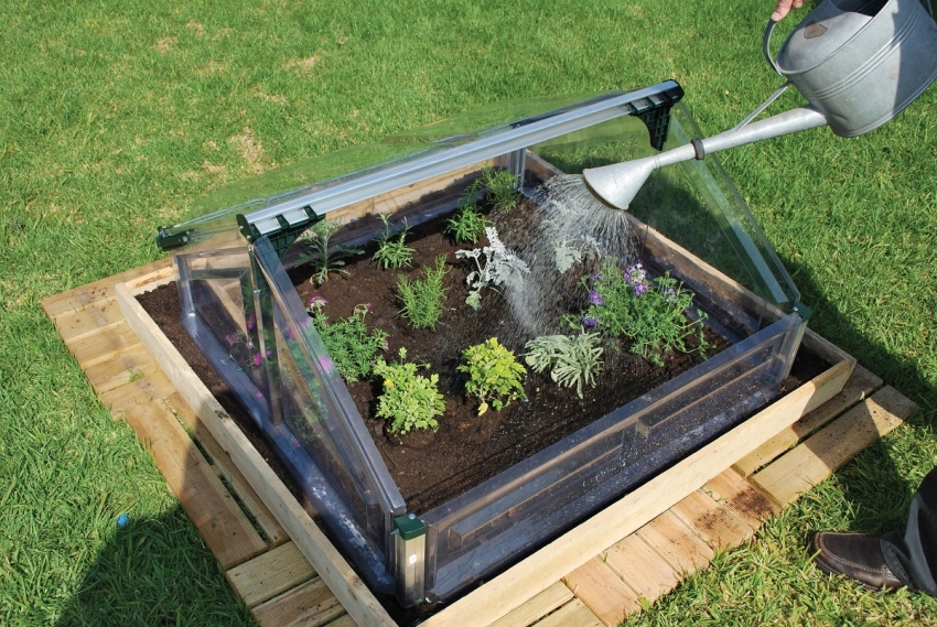 Τα θερμοκήπια από πολυανθρακικό ανοιχτό επάνω μέρος είναι βολικά για την καλλιέργεια μικρών φυτών όπως αρωματικά βότανα, πιπεριές ή φράουλες Τα θερμοκήπια από πολυανθρακικό ανοιχτό επάνω μέρος είναι βολικά για την καλλιέργεια μικρών φυτών όπως αρωματικά βότανα, πιπεριές ή φράουλες