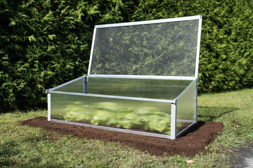 Το πολυανθρακικό είναι μια αξιόπιστη και ανθεκτική επίστρωση που μεταδίδει τέλεια το φως του ήλιου, το οποίο επηρεάζει ευνοϊκά την ανάπτυξη και την ποιότητα των καλλιεργειών Το πολυανθρακικό είναι μια αξιόπιστη και ανθεκτική επίστρωση που μεταδίδει τέλεια το φως του ήλιου, το οποίο επηρεάζει ευνοϊκά την ανάπτυξη και την ποιότητα των καλλιεργειών