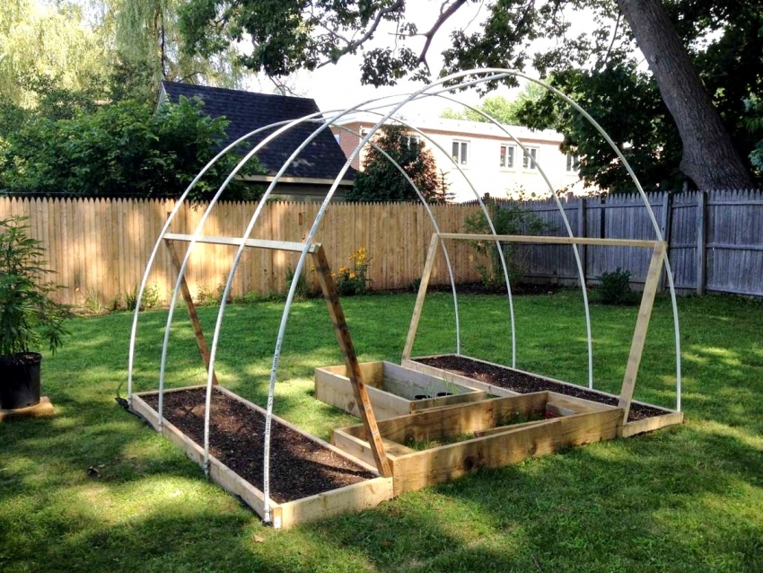 Малките оранжерии от PVC тръби са много удобни, защото не заемат много място и могат да бъдат премествани, в зависимост от сезона и времето. Малките оранжерии от PVC тръби са много удобни, защото не заемат много място и могат да бъдат премествани, в зависимост от сезона и времето.