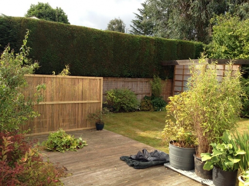 Et eksempel på en vellykket utforming av en sommerhus med en skjult kompostgrop Et eksempel på en vellykket utforming av en sommerhus med en skjult kompostgrop