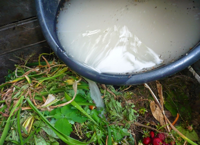 For å få kompost raskt, må du bruke spesielle tilsetningsstoffer For å få kompost raskt, må du bruke spesielle tilsetningsstoffer