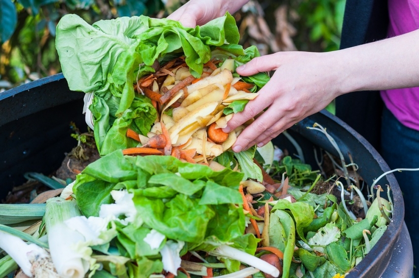 For å oppnå kompost av høyeste kvalitet, bør du nøye vurdere utvalget av avfall til kompostgropen. For å oppnå kompost av høyeste kvalitet, bør du nøye vurdere utvalget av avfall til kompostgropen.