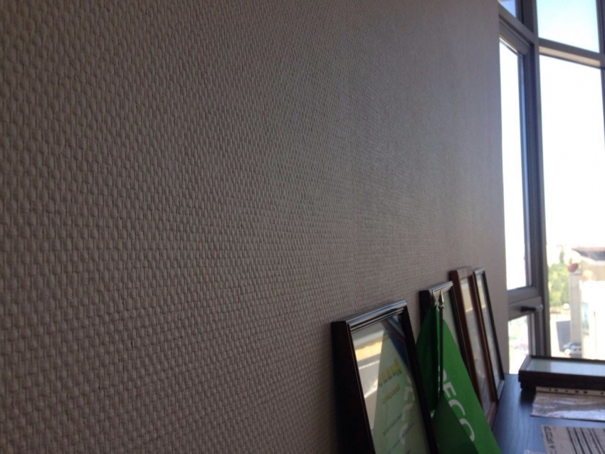 Kuitukankaalle maalattavilla kuvioiduilla taustakuvilla on melko korkea kestävyys, mikä tekee niistä suositun vaihtoehdon toimistojen ja käytävien sisustamiseen Kuitukankaalle maalattavilla kuvioiduilla taustakuvilla on melko korkea kestävyys, mikä tekee niistä suositun vaihtoehdon toimistojen ja käytävien sisustamiseen