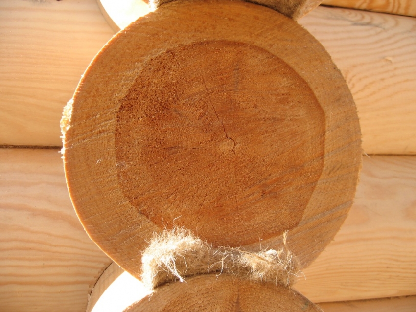 Når du køber træstammer til at bygge et bad, er det vigtigt at kontrollere træets kvalitet på snitene Når du køber træstammer til at bygge et bad, er det vigtigt at kontrollere træets kvalitet på snitene