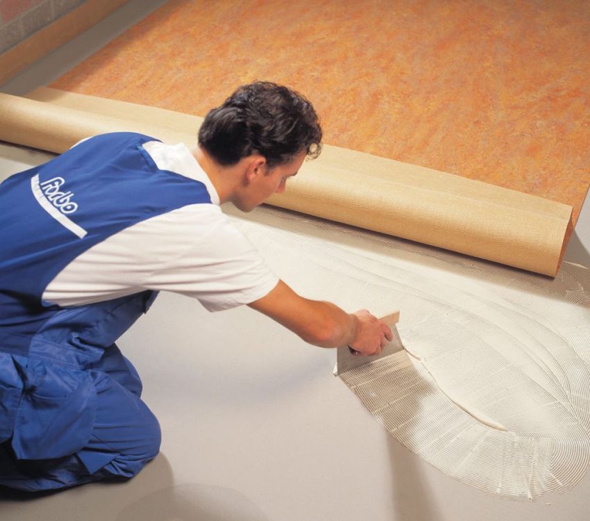 Η χρήση κόλλας κατά την τοποθέτηση λινέλαιο σας επιτρέπει να δημιουργήσετε ένα ανθεκτικό κάλυμμα δαπέδου και τακτοποιημένες μόλις αισθητές ραφές στις αρθρώσεις των φύλλων Η χρήση κόλλας κατά την τοποθέτηση λινέλαιο σάς επιτρέπει να δημιουργήσετε ένα ανθεκτικό κάλυμμα δαπέδου και τακτοποιημένες μόλις αισθητές ραφές στις αρθρώσεις των φύλλων