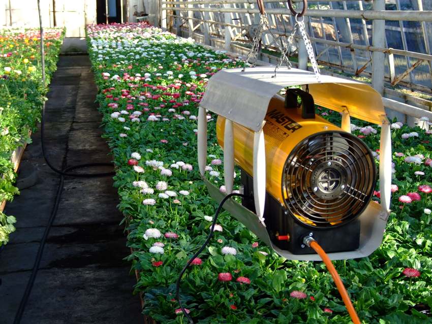 מגוון הדגמים של תותחי גז מאסטר כולל מכשירים עם מגוון רחב של מאפיינים, כולם מיועדים לשימוש כדלק של גז נוזלי (בלון). מגוון הדגמים של תותחי גז מאסטר כולל מכשירים עם מגוון רחב של מאפיינים, כולם מיועדים לשימוש כדלק של גז נוזלי (בלון).