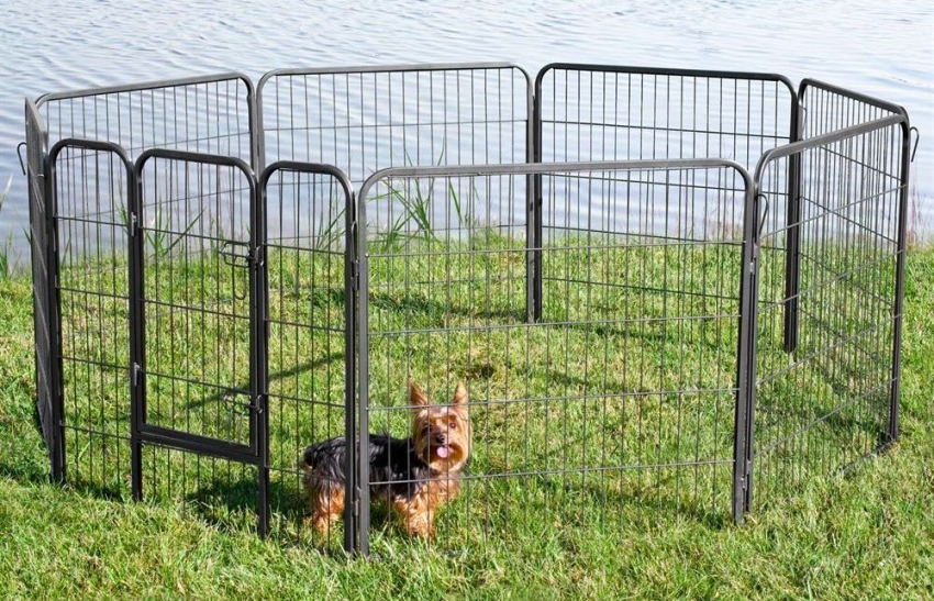 Et eksempel på et modulært sammenleggbart kabinett for små rasehunder Et eksempel på et modulært sammenleggbart kabinett for små rasehunder