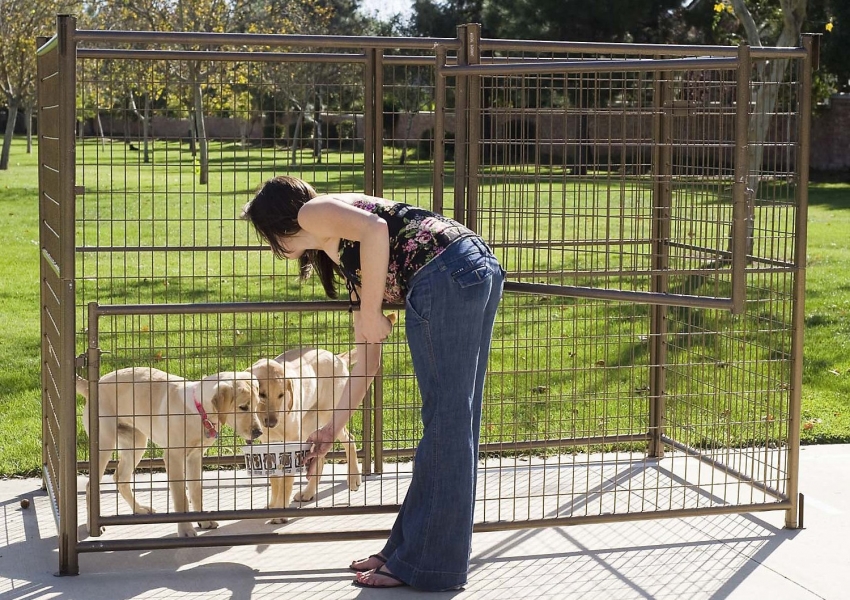 Voliæren er nødvendig for valper for pedagogiske formål og også for å beskytte dem Voliæren er nødvendig for valper for pedagogiske formål og også for å beskytte dem