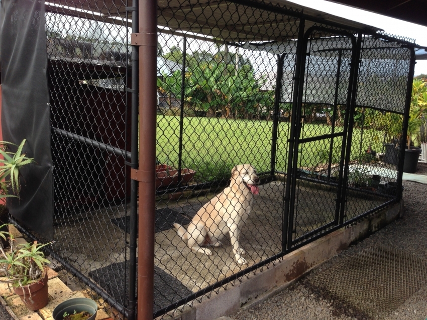 For bygging av et friluftsbur for hunder av store raser, er det nødvendig å velge pålitelige sterke materialer. For bygging av et friluftsbur for hunder av store raser, er det nødvendig å velge pålitelige sterke materialer.