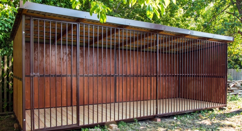 Størrelsen på flere hunder er basert på rasen og størrelsen på voksne dyr Størrelsen på flere hunder er basert på rasen og størrelsen på voksne dyr