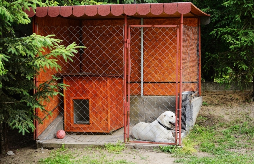 Hunden kan ikke holdes i en liten voliere hele tiden, derfor er det nødvendig å bestemme formålet med bygningen før byggingen begynner Hunden kan ikke holdes i en liten voliere hele tiden, derfor er det nødvendig å bestemme formålet med bygningen før byggingen begynner
