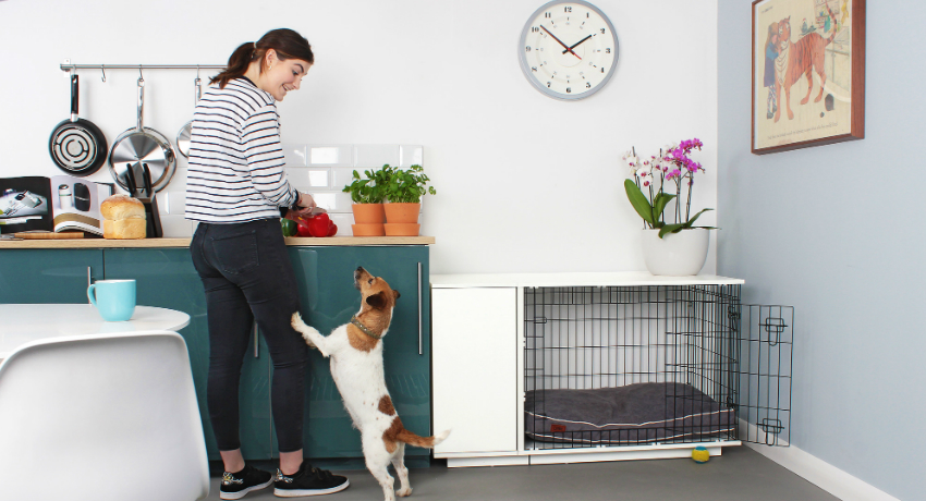 Chuồng cho một căn hộ nên được chọn dựa trên kích thước của giống chó và các chức năng cần thiết mà cấu trúc sẽ thực hiện Aviary cho chó trong căn hộ: cách tạo cảm giác thoải mái an toàn cho thú cưng