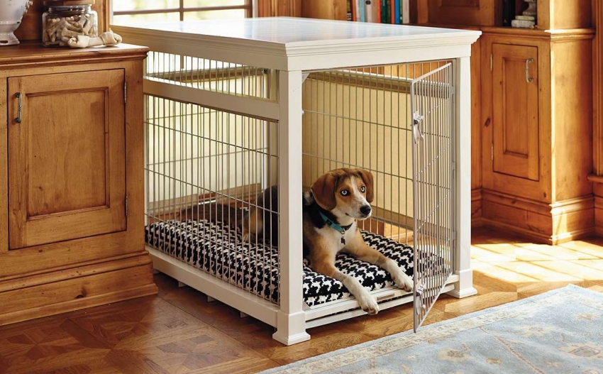 Để làm khung chuồng chim bằng tay của chính bạn, bạn có thể sử dụng bàn cũ Để làm khung chuồng chim bằng tay của chính bạn, bạn có thể sử dụng bàn cũ