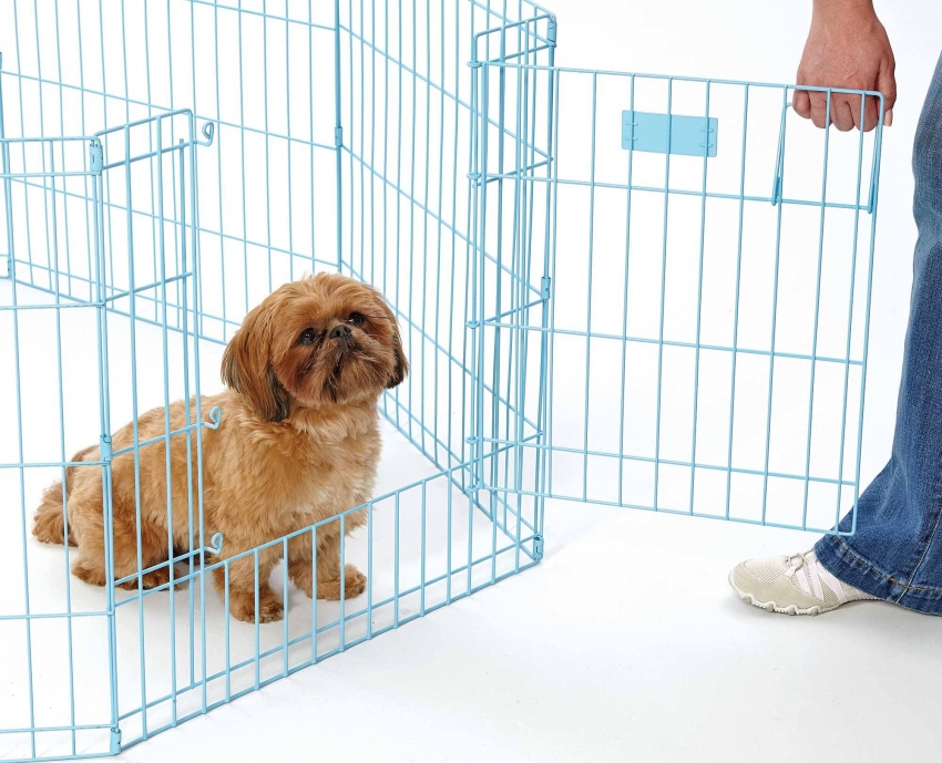 Đối với nhà nuôi chó con, tốt hơn hết bạn nên mua lồng mở có bệ cửa để thú trưởng thành có thể bước qua hoặc nhảy qua Đối với nhà nuôi chó con, tốt hơn hết bạn nên mua lồng mở có bệ cửa để thú trưởng thành có thể bước qua hoặc nhảy qua