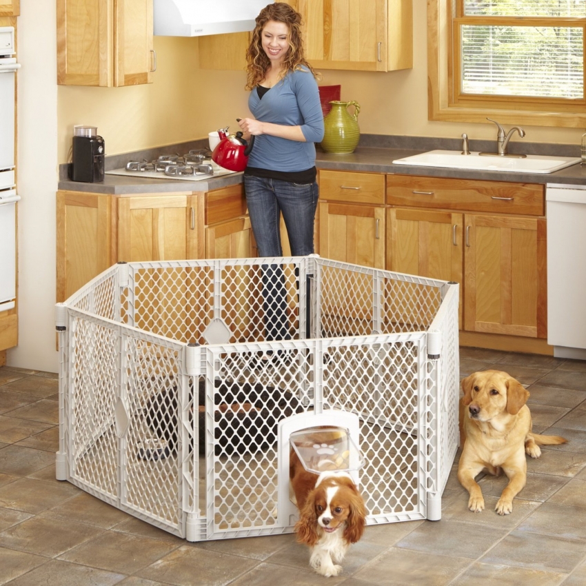 Chuồng chim bằng nhựa mô-đun rất tiện lợi vì nó có thể dễ dàng tháo dỡ hoặc di chuyển đến vị trí khác Chuồng chim bằng nhựa mô-đun rất tiện lợi vì nó có thể dễ dàng tháo dỡ hoặc di chuyển đến vị trí khác