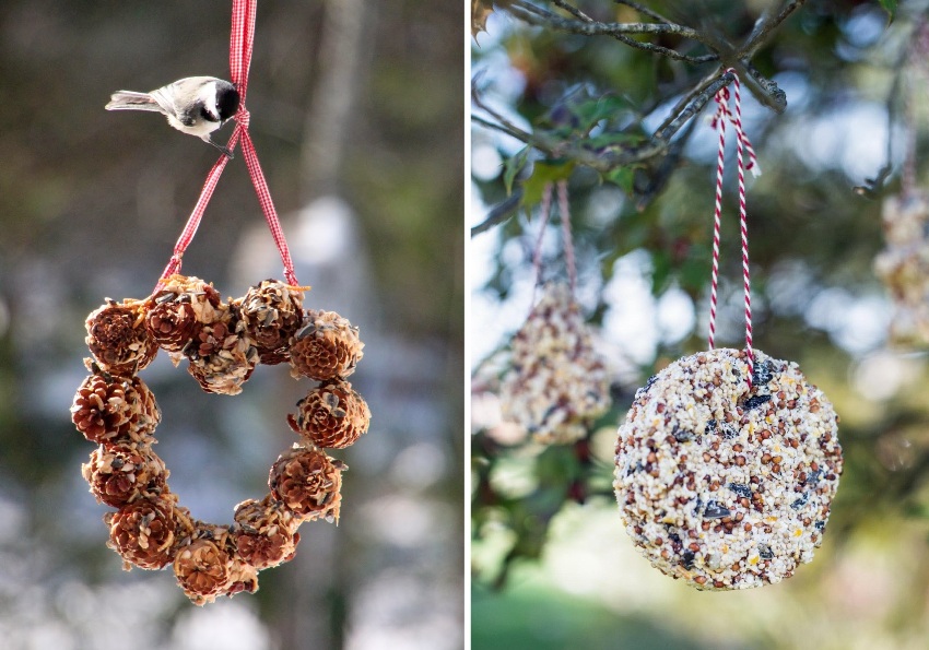 Piękne przykłady wiszących karmników dla ptaków Piękne przykłady wiszących karmników dla ptaków