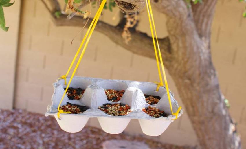 Prosty projekt karmnika dla ptaków z tacy na jajka Prosty projekt karmnika dla ptaków z tacy na jajka