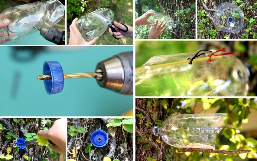 Schemat wykonania karmnika z plastikowej butelki przymocowanej do drzewa Schemat wykonania karmnika z plastikowej butelki przymocowanej do drzewa