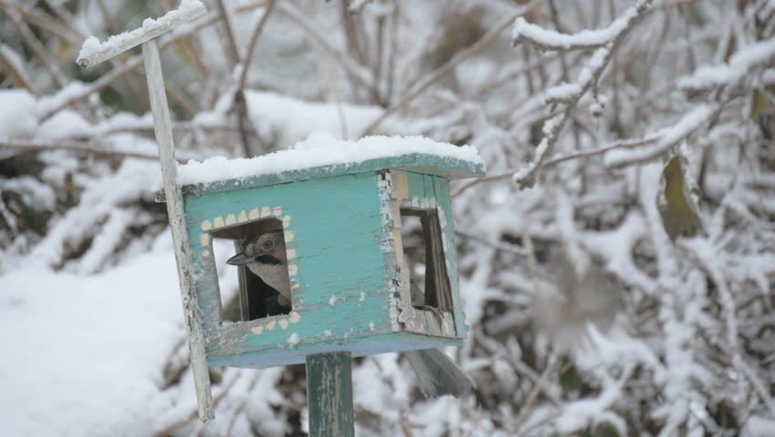 Z resztek materiałów budowlanych można wykonać mały, prosty podajnik Z resztek materiałów budowlanych można wykonać mały, prosty podajnik