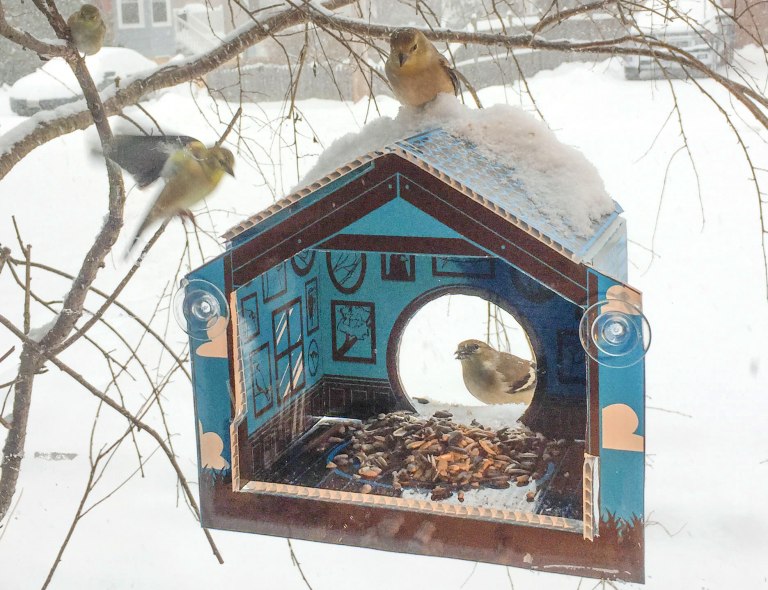 Podajnik wyjęty z pudełka może być wyposażony w przyssawki i mocowany do szyby Podajnik wyjęty z pudełka może być wyposażony w przyssawki i mocowany do szyby