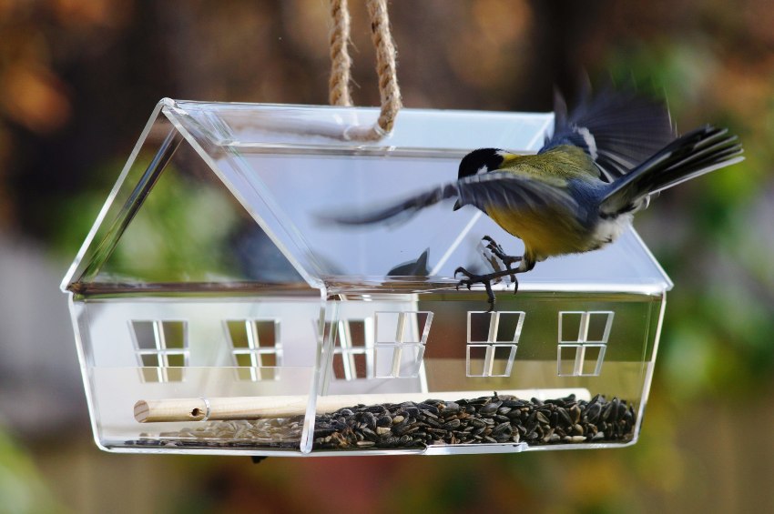 Gotowy karmnik dla ptaków wykonany z tworzywa sztucznego Gotowy karmnik dla ptaków wykonany z tworzywa sztucznego