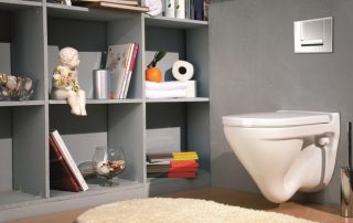 Как да изберем тоалетна: основните критерии и характеристики на различни модели