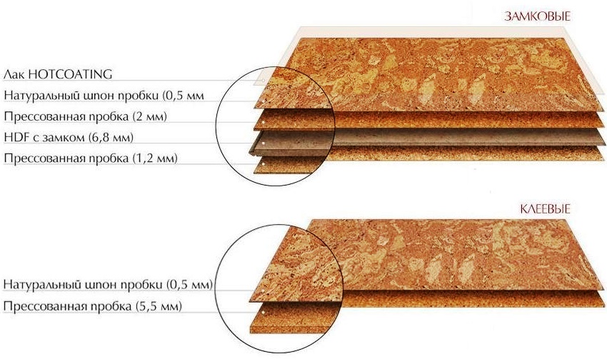 โครงสร้างของพื้นไม้ก๊อกล็อคและกาว โครงสร้างของพื้นไม้ก๊อกล็อคและกาว