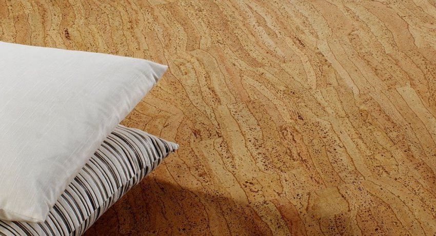 เปลือกไม้โอ๊คมีรูพรุนใช้สำหรับผลิตไม้ก๊อก เปลือกไม้โอ๊คมีรูพรุนใช้สำหรับผลิตไม้ก๊อก