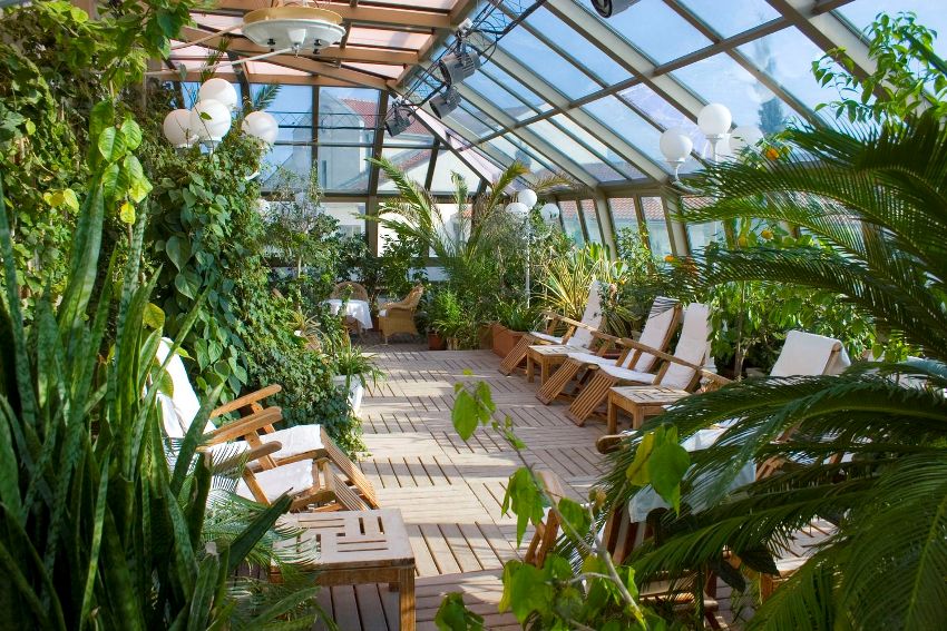 Kluczową kwestią w tworzeniu ogrodu zimowego jest przeszklenie - szkło z pewnością musi być izolowane. Kluczową kwestią w tworzeniu ogrodu zimowego jest przeszklenie - szkło z pewnością musi być izolowane.