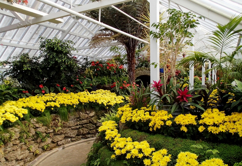 Wybierając rośliny do ogrodu zimowego należy zadbać o to, aby były w pewnym stopniu uniwersalne, doda to uroku i oryginalności każdemu pomieszczeniu Wybierając rośliny do ogrodu zimowego należy zadbać o to, aby były w pewnym stopniu uniwersalne, doda to uroku i oryginalności każdemu pomieszczeniu