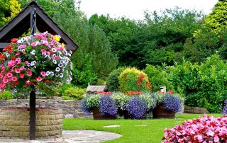 Diy well: step-by-step construction instructions