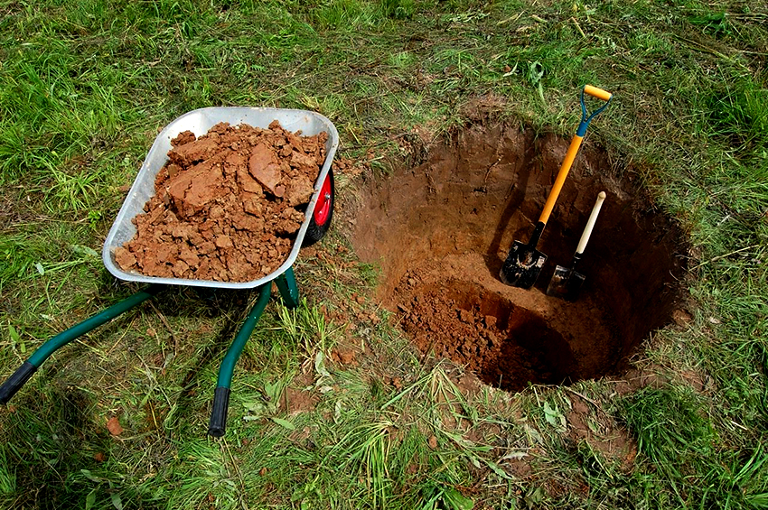 Abans de començar a excavar un pou, heu de trobar el lloc òptim Abans de començar a excavar un pou, heu de trobar el lloc òptim