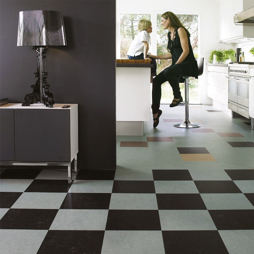 Linoleum de uz casnic este mult mai ieftin decât linoleumul comercial și are o rezistență suficientă la uzură pentru a fi utilizat în camere de zi în orice scop. Linoleum de uz casnic este mult mai ieftin decât linoleumul comercial și are o rezistență suficientă la uzură pentru a fi utilizat în camere de zi în orice scop.