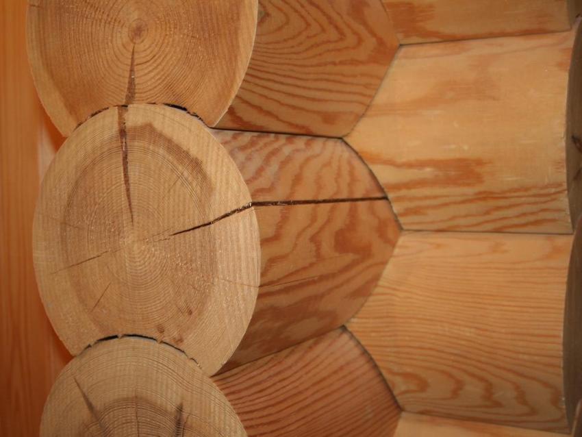 Den porøse struktur af stokkens endedel kræver særlig beskyttelse mod parasitter og forebyggelse af revner Den porøse struktur af stokkens endedel kræver særlig beskyttelse mod parasitter og forebyggelse af revner