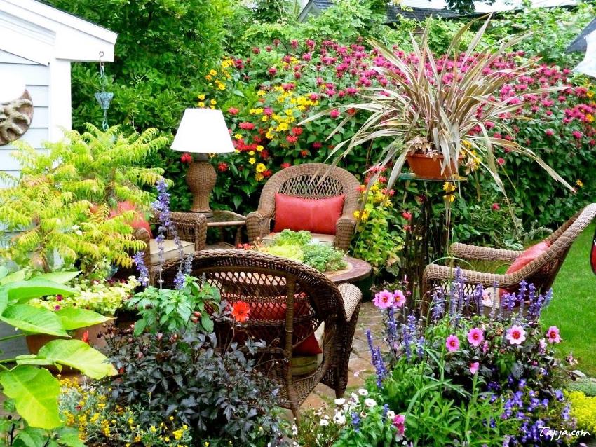 Matériel de plantation de haute qualité, bonne imagination et conscience dans la disposition des jardins avant, réalise tous les désirs concernant la conception de la zone d'entrée près de la maison Matériel de plantation de haute qualité, bonne imagination et conscience dans la disposition des jardins avant, réalise tous les désirs concernant la conception de la zone d'entrée près de la maison